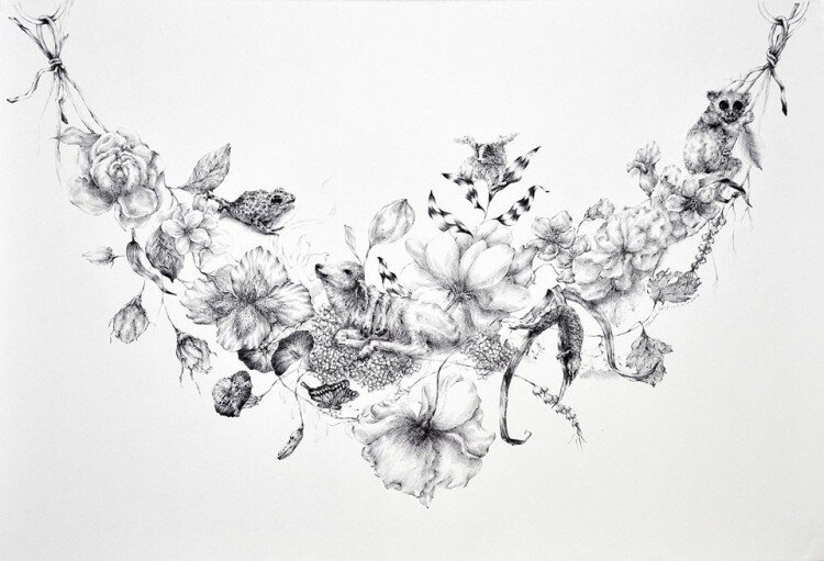 10505347_10152863634336823_8004952956157371908_n (1)