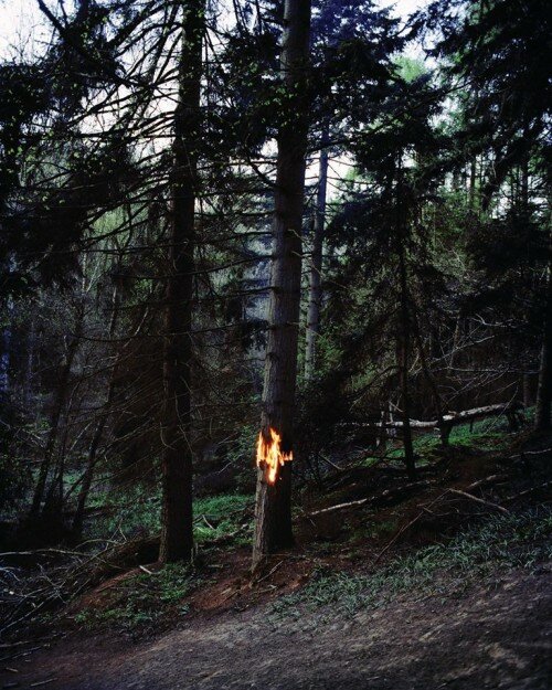 1238164_10152045496812428_1361839300_n (1)