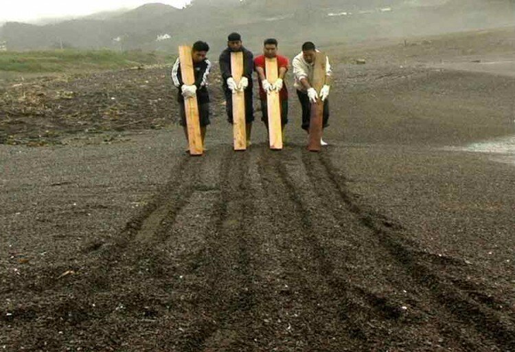 1347289276_Carlson_Strom_Four_Parallel_Lines_72