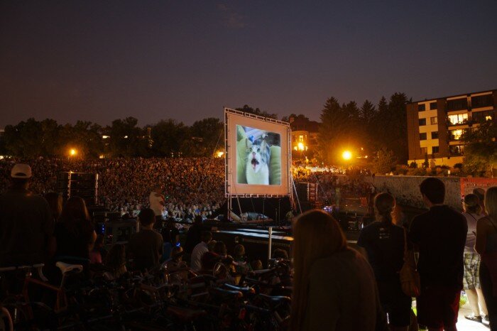 1349795941of2012cats0830_014