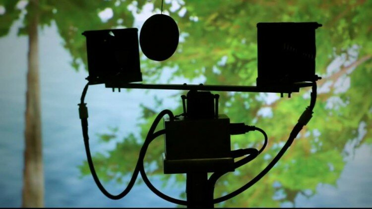 1511811_10151867717931200_1546034177_n