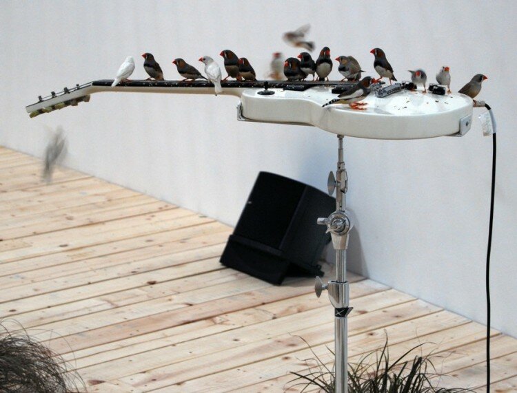 19-celeste_boursier-mougenot-2