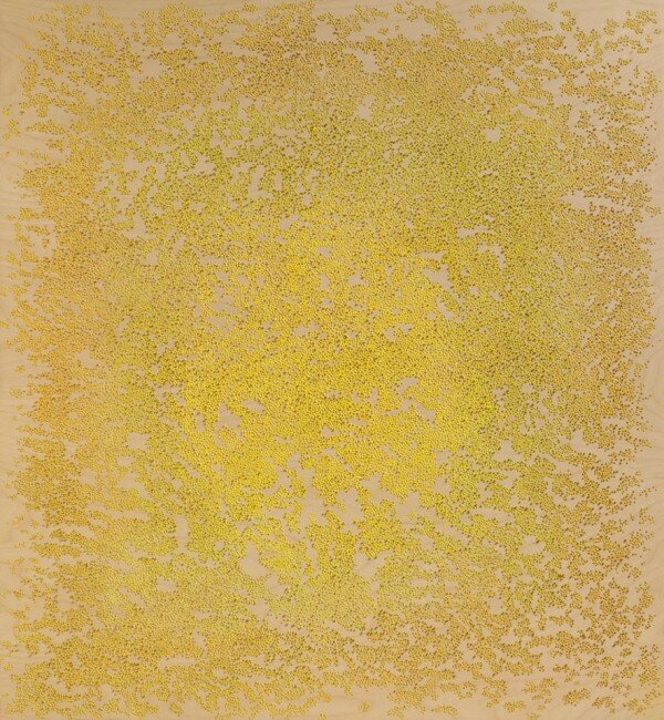 1920089_617118215023472_1084237378_n