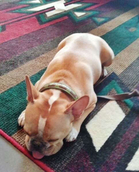 2011-10-15-15.03.24-e1318965913612