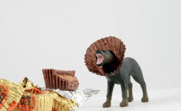 18_heuerreesesdog850