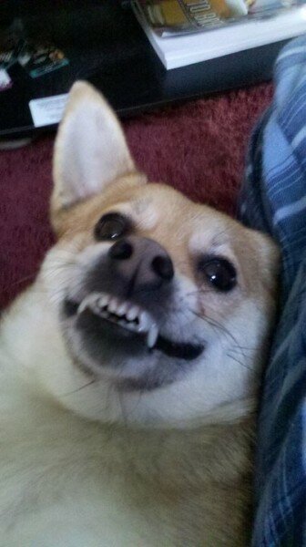 229374_901374705754_5300047_44179038_7714429_n