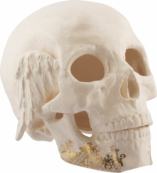 Trevor_jackson_skull_wings_far4