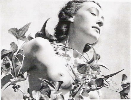 tumblr_le52f5zNiZ1qztk1wo1_500