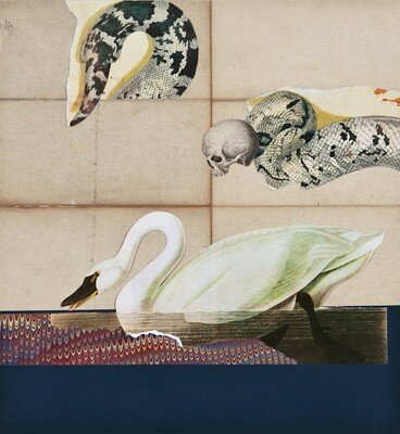 Swan_Serpent