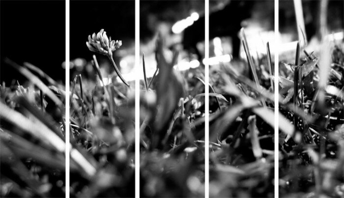 BEDofBLADES_web_falk_2011