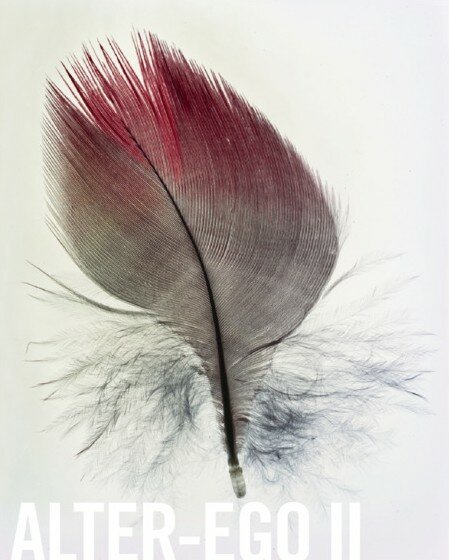 tumblr_m33ll9xsJH1qf00uh