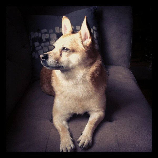 546588_10100466970688809_1825813_49670327_2145131091_n