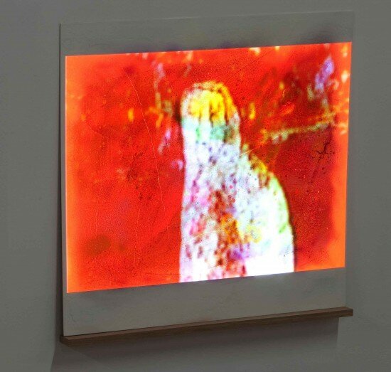 7366431148_1cb72b9bce_o