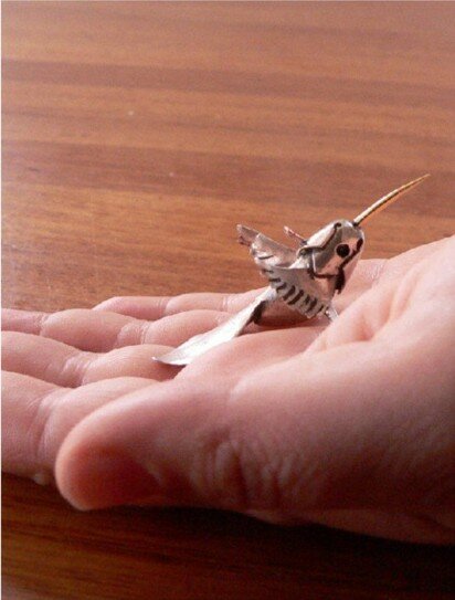 web-silver-hummingbird