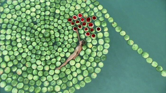 2014-deadsee-sigalitlandau