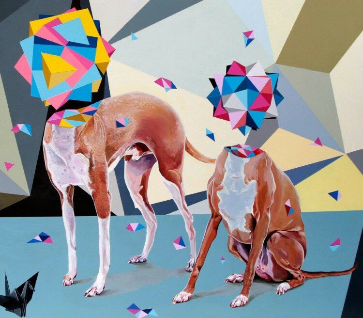 558589_481579718527739_1406918751_n