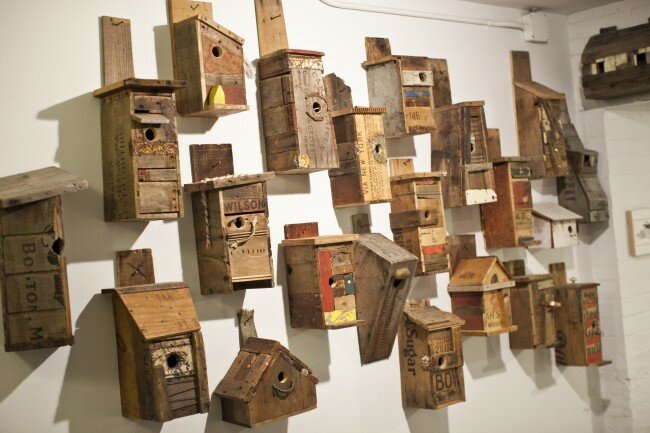 Nathan Fried-Lipski BH1