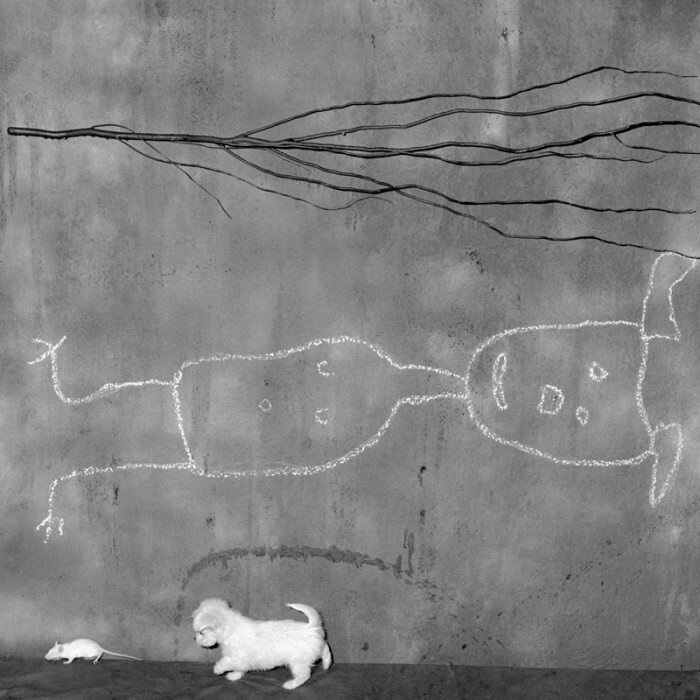 Place of the upside down