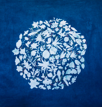 Screen Shot 2016-02-28 at 11.55.04 PM