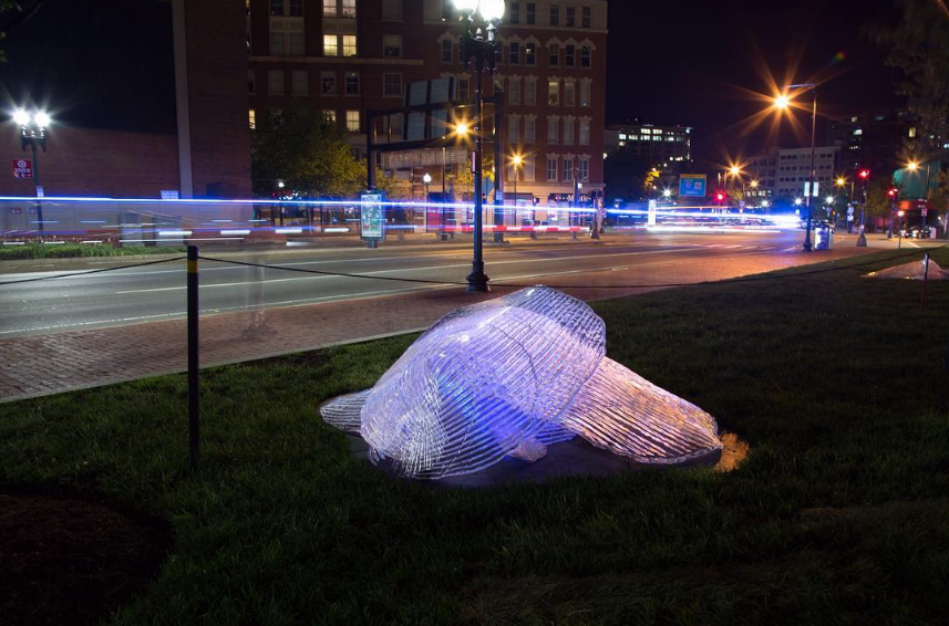 Gianna Stewart, Midden