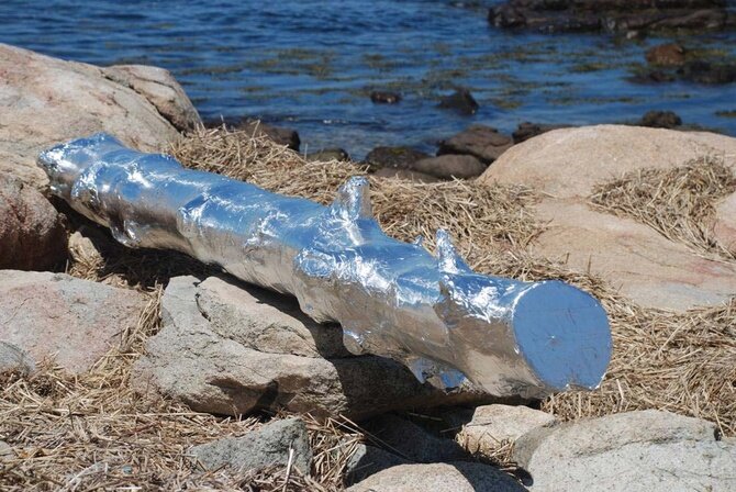 image001.jpg.670x500_q95