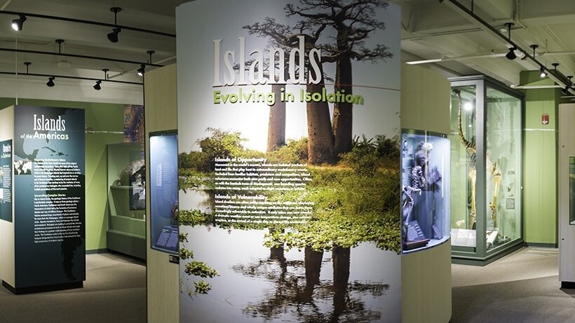 islands.gallery.shot_