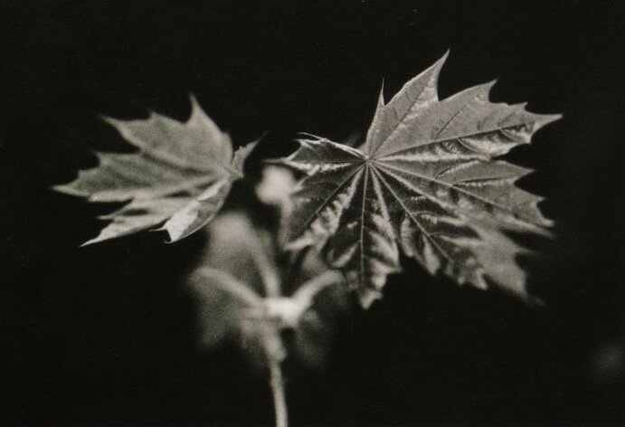 strymish.turn.poster